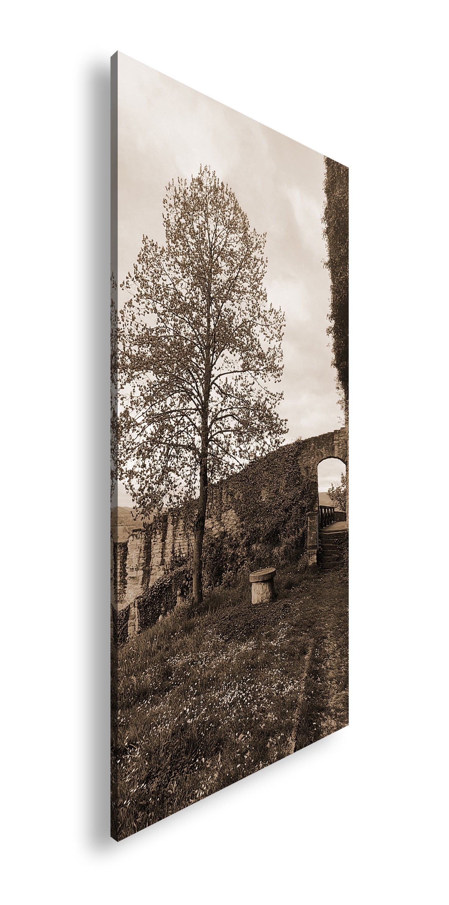 Hauptbild Sepia Panorama