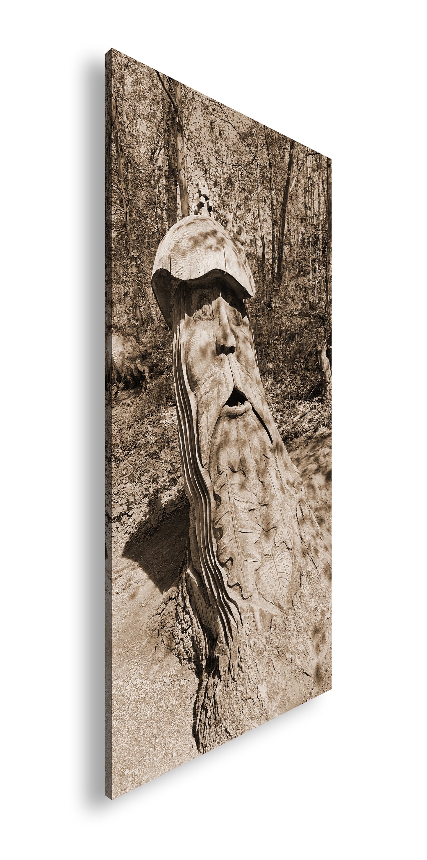 Hauptbild Sepia Panorama