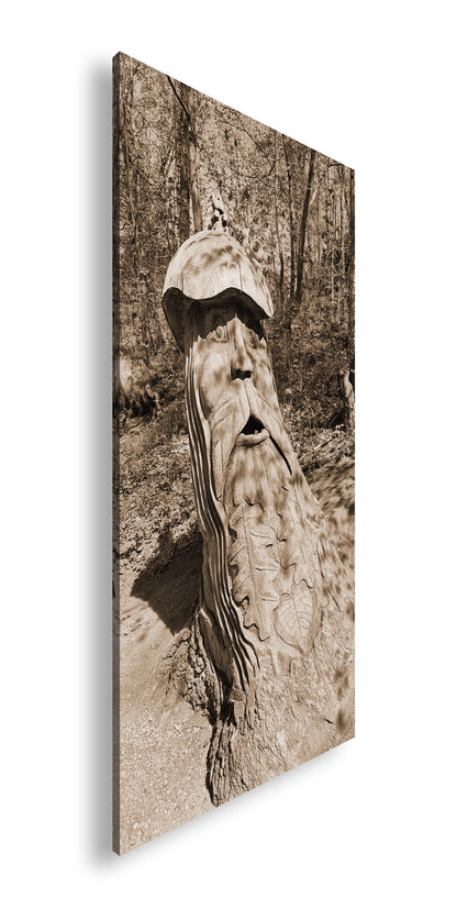 Hauptbild Sepia Panorama