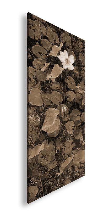 Hauptbild Sepia Panorama