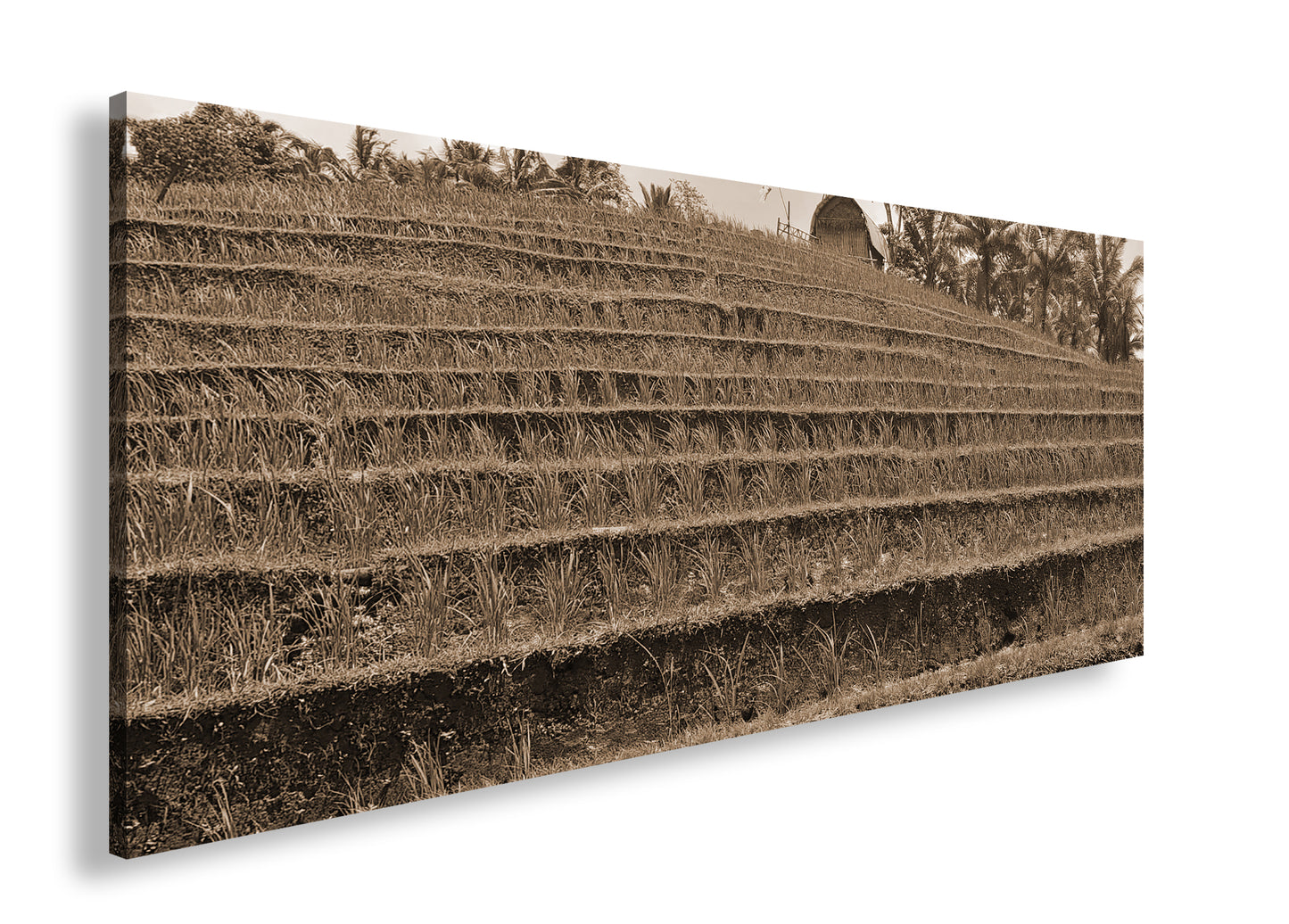 Hauptbild Sepia Panorama