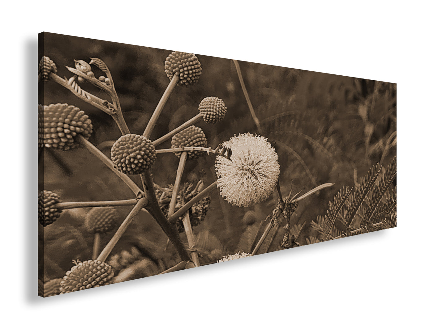 Hauptbild Sepia Panorama