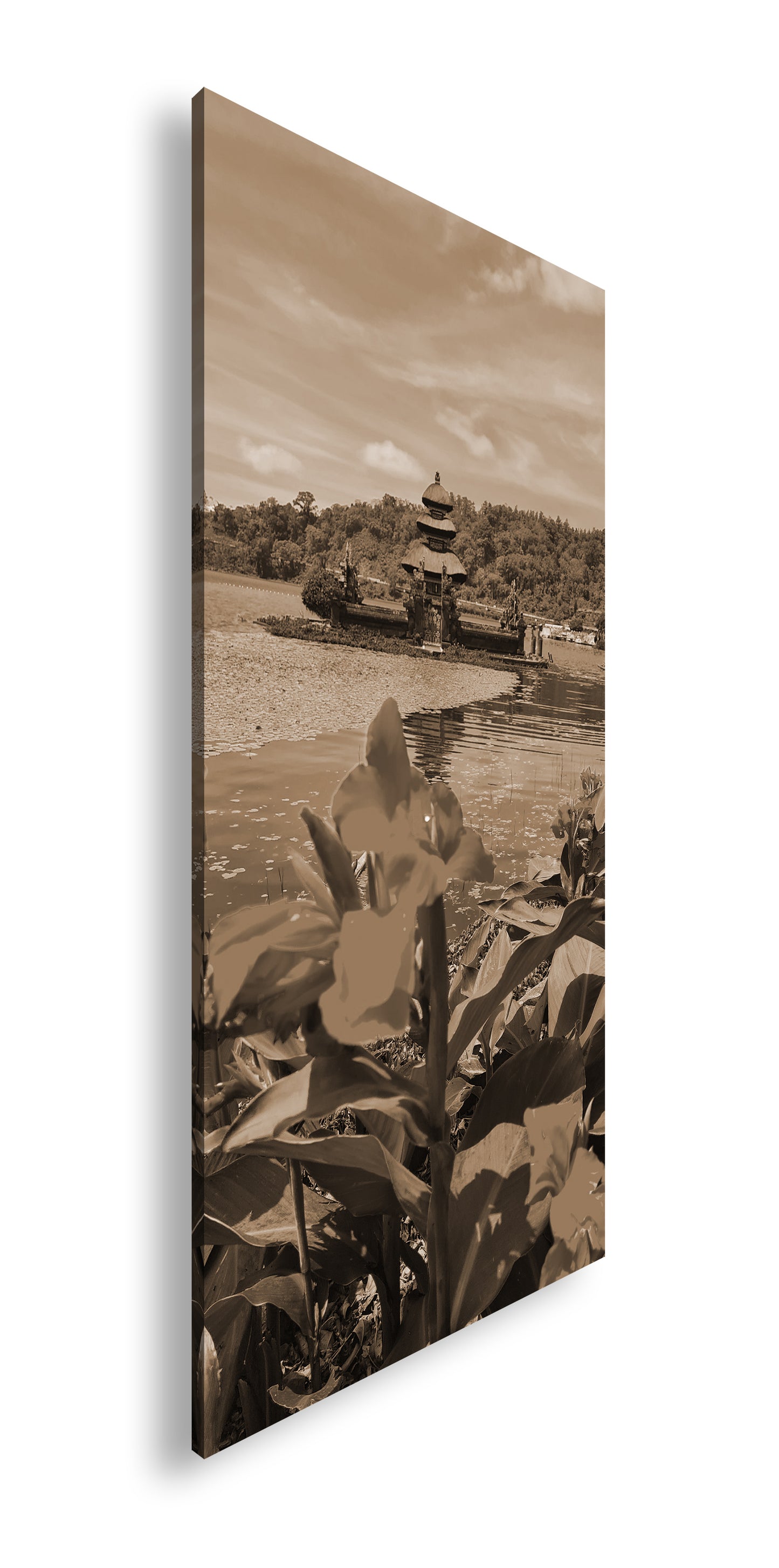 Hauptbild Sepia Panorama