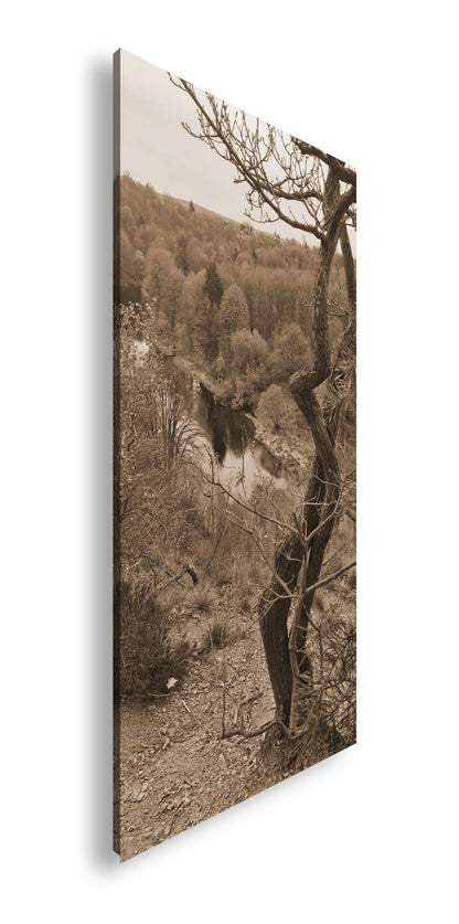 Hauptbild Sepia Panorama