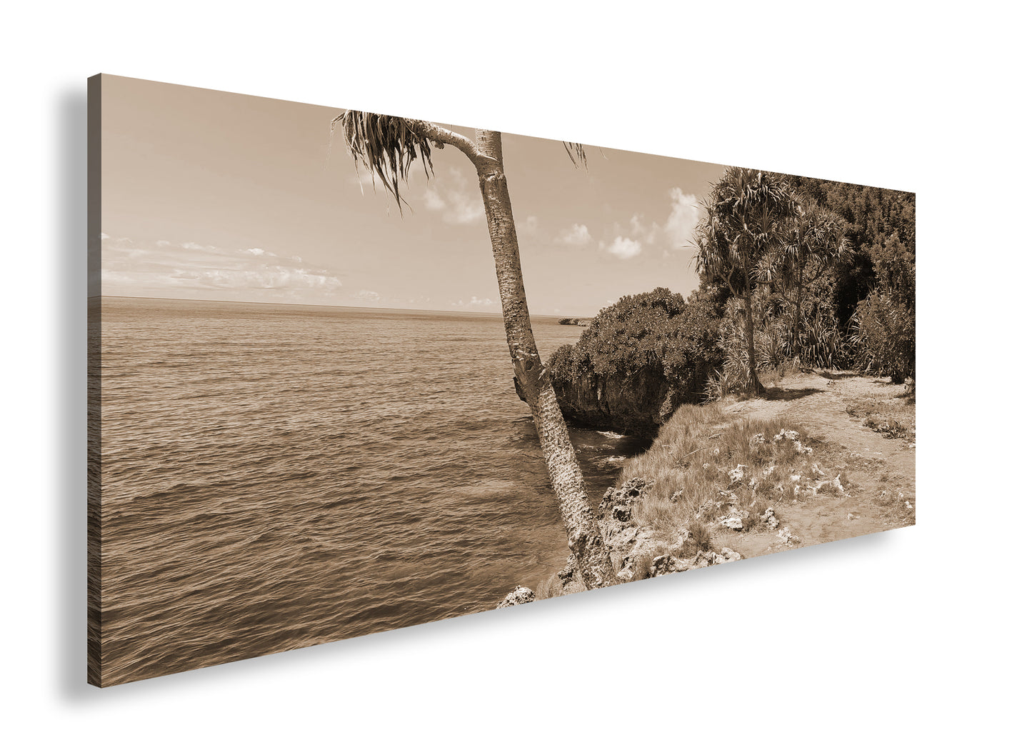 Hauptbild Sepia Panorama