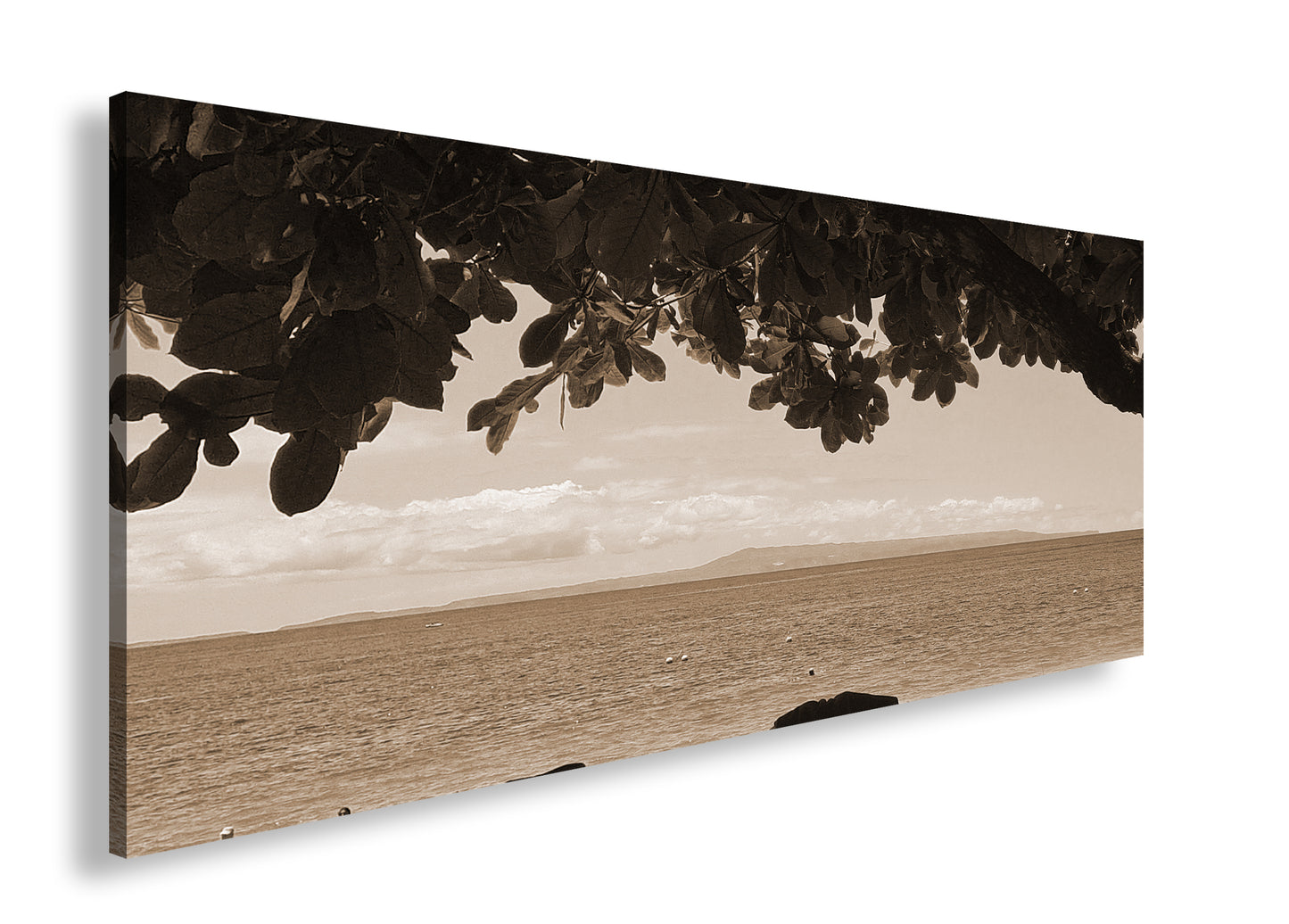 Hauptbild Sepia Panorama