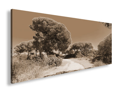 Hauptbild Sepia Panorama