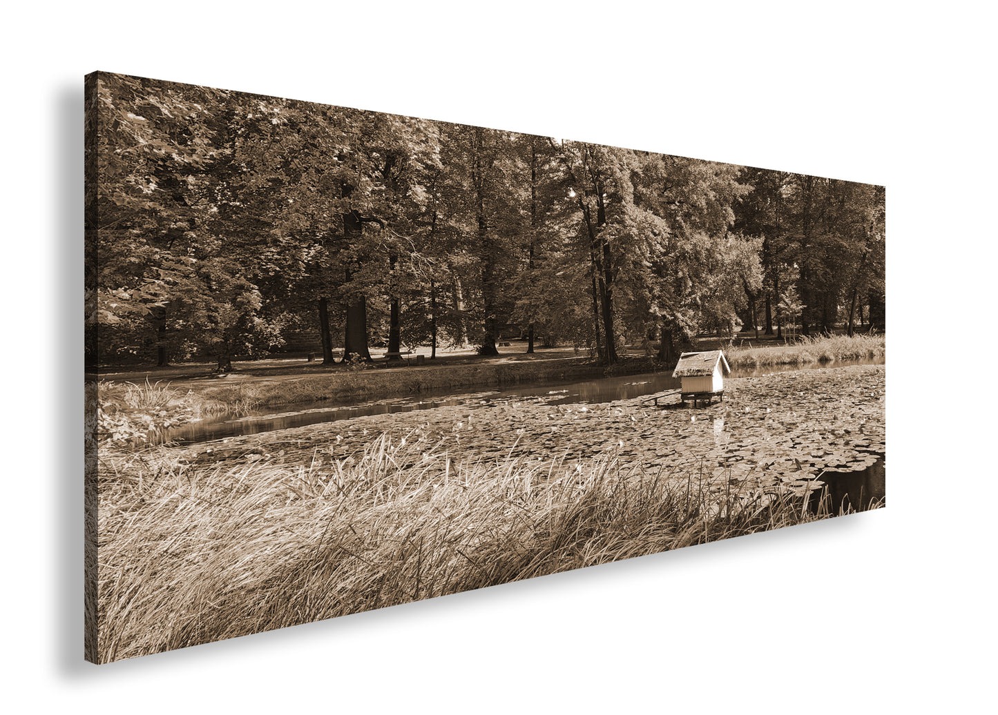 Hauptbild Sepia Panorama