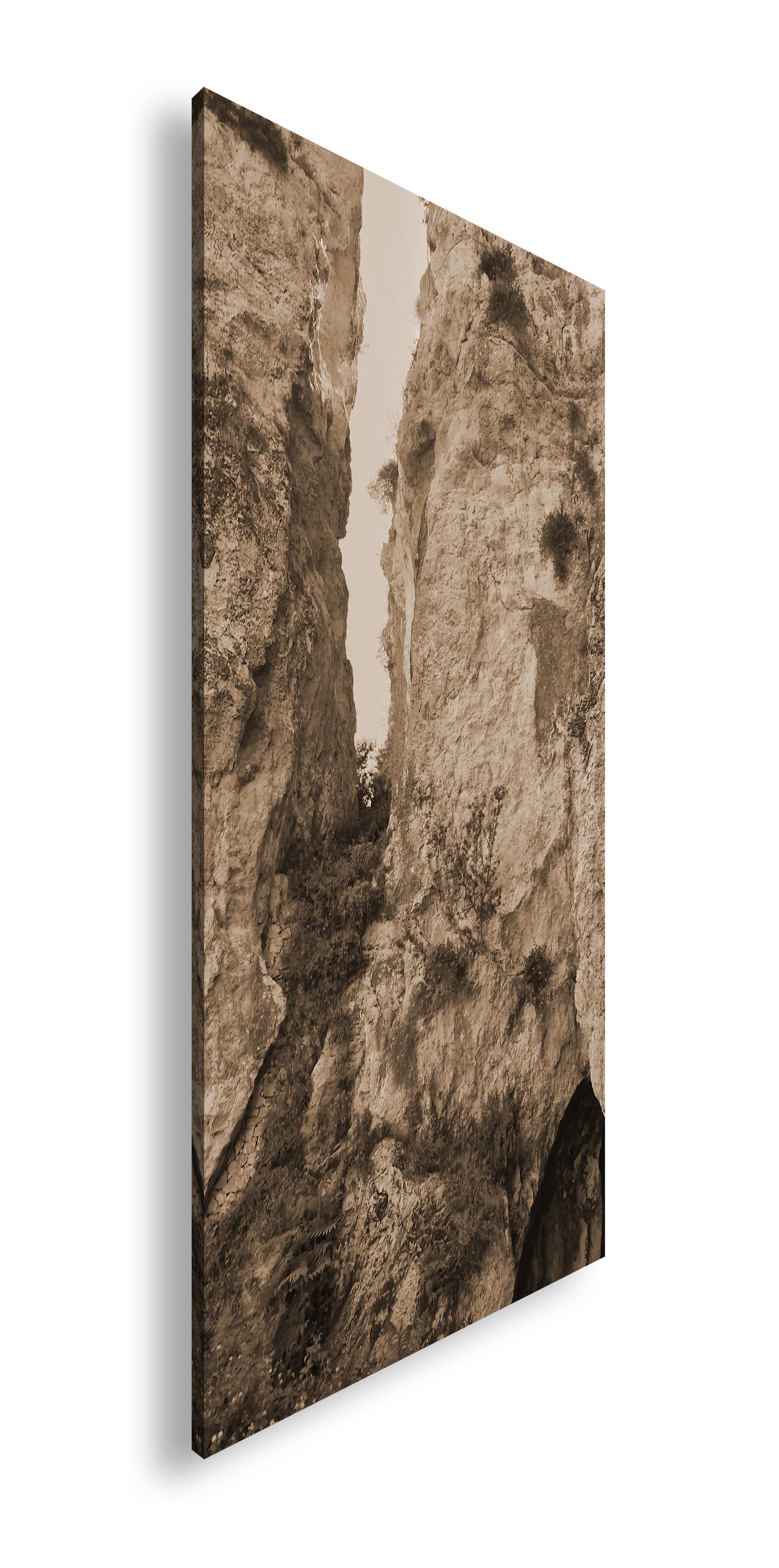 Hauptbild Sepia Panorama