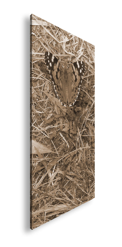 Hauptbild Sepia Panorama