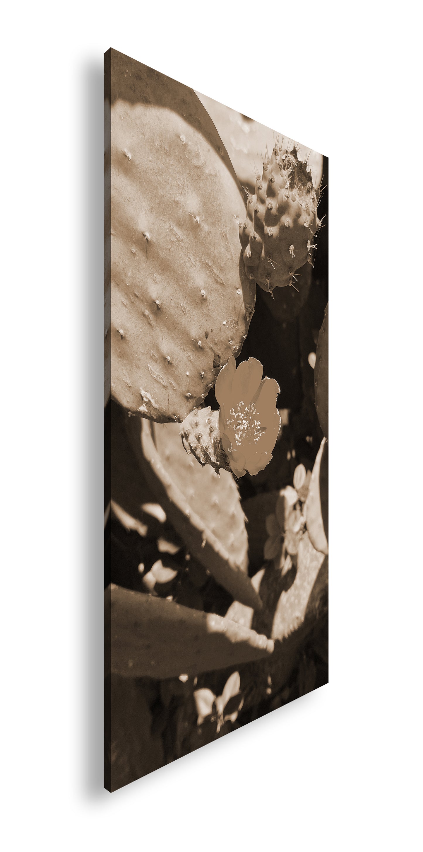 Hauptbild Sepia Panorama