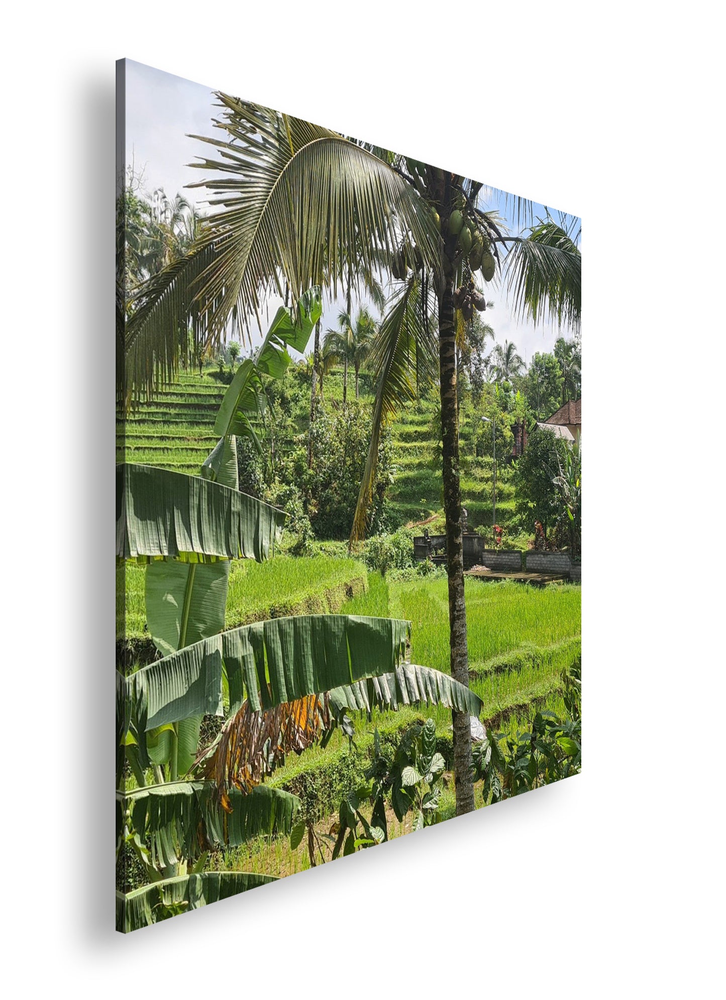 Hauptbild Farbig Quadratisch