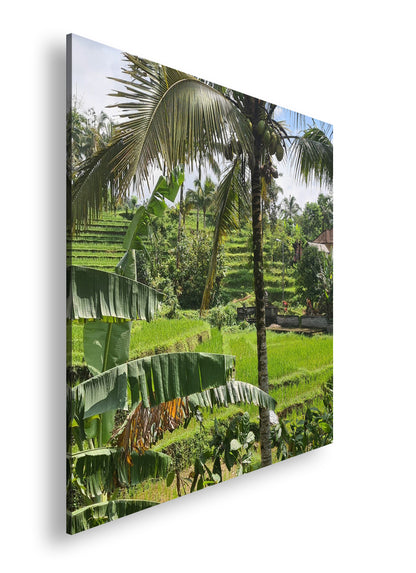 Hauptbild Farbig Quadratisch