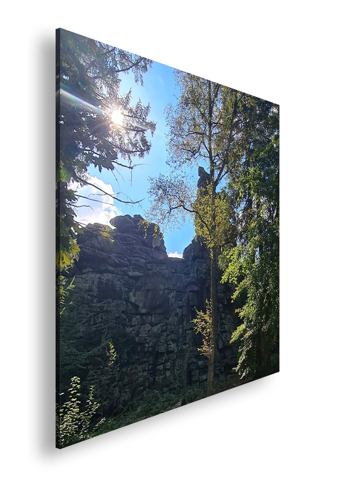 Hauptbild Farbig Quadratisch