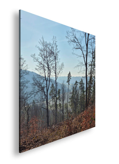 Hauptbild Farbig Quadratisch