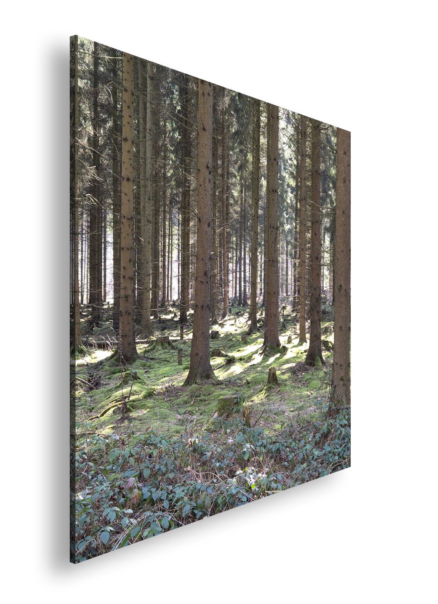 Hauptbild Farbig Quadratisch