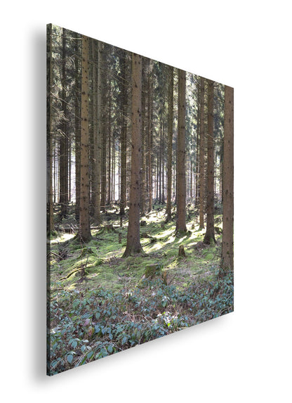 Hauptbild Farbig Quadratisch