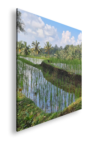 Hauptbild Farbig Quadratisch