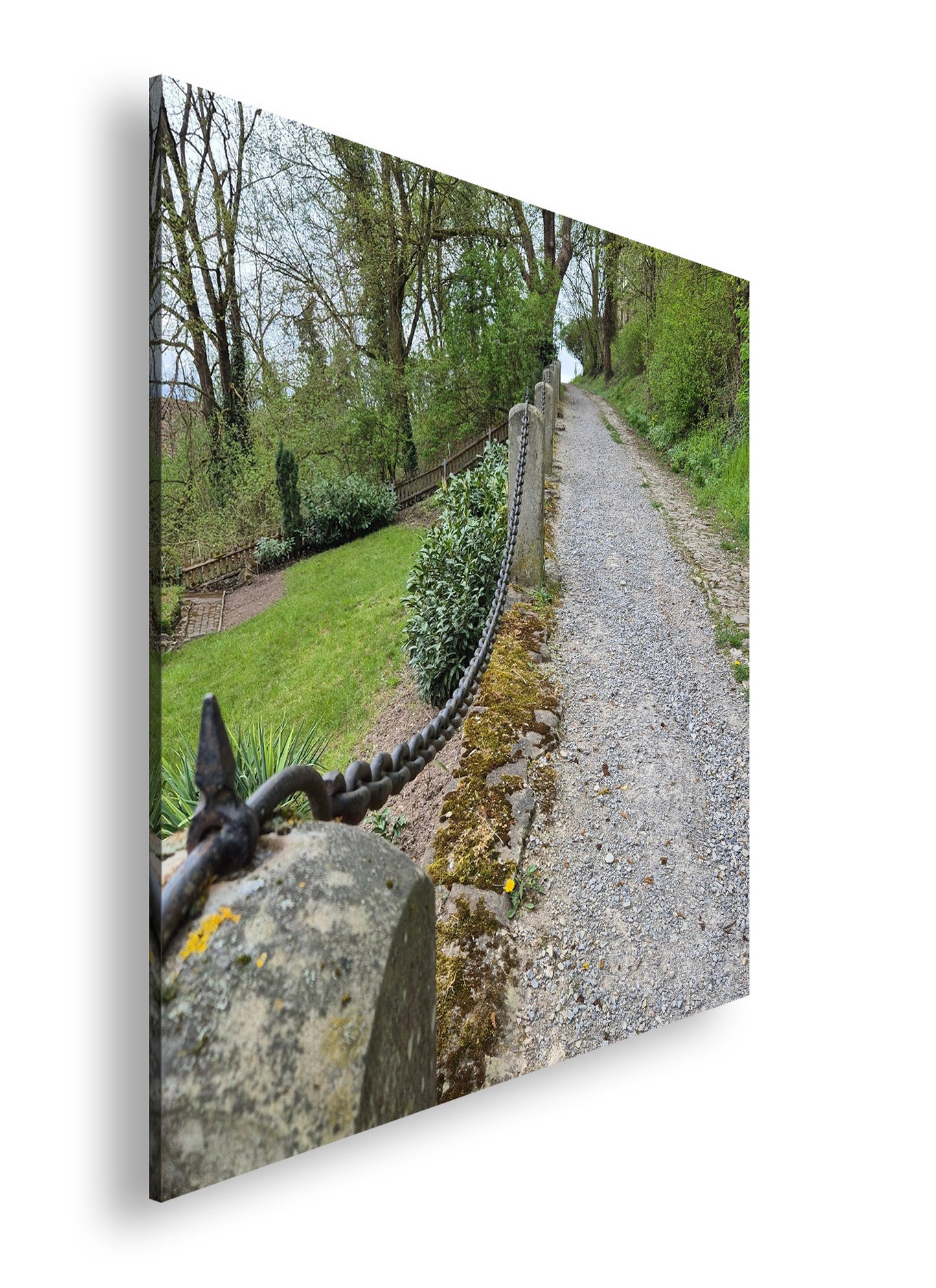 Hauptbild Farbig Quadratisch