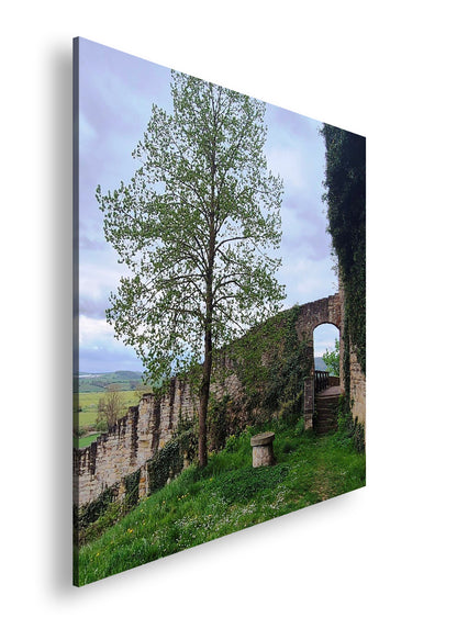 Hauptbild Farbig Quadratisch