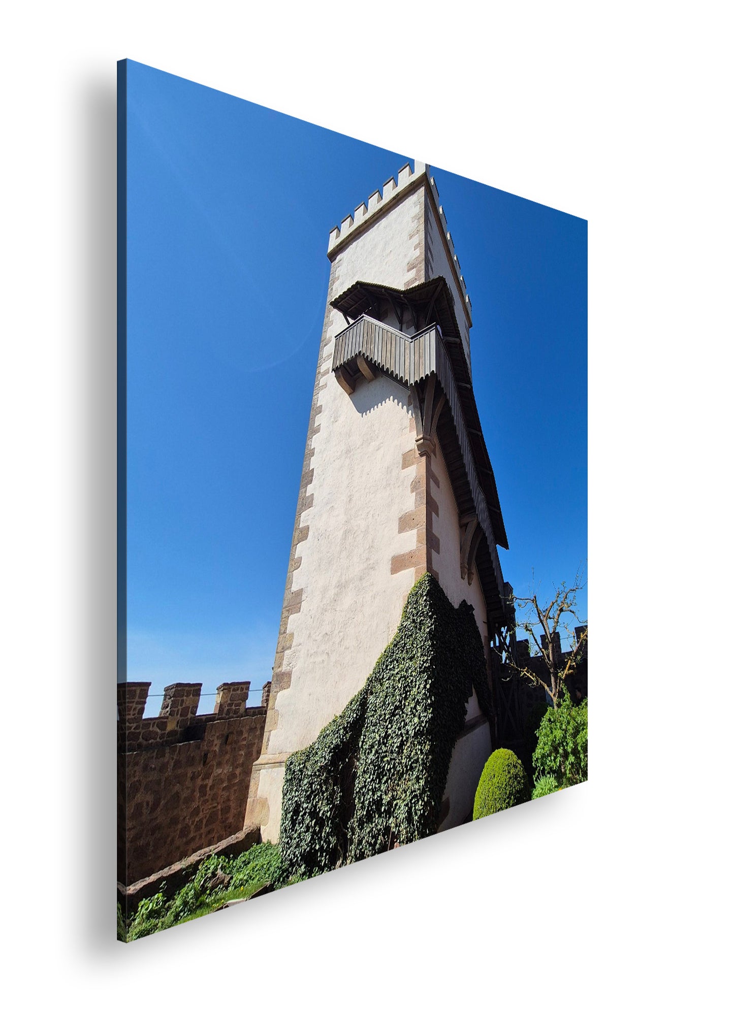 Hauptbild Farbig Quadratisch