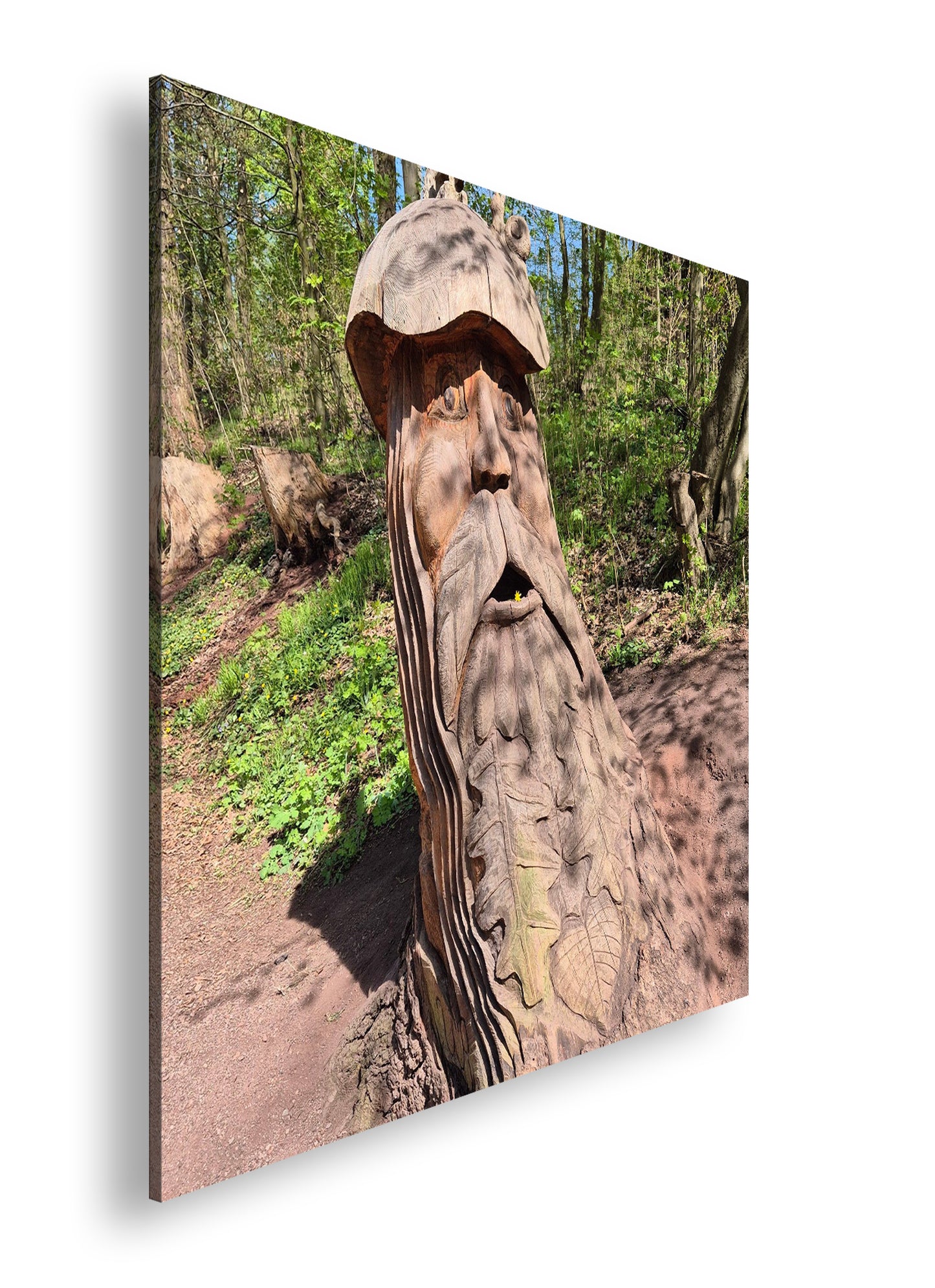 Hauptbild Farbig Quadratisch