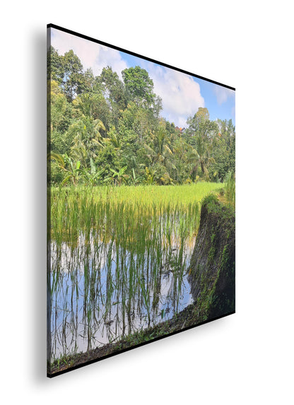 Hauptbild Farbig Quadratisch