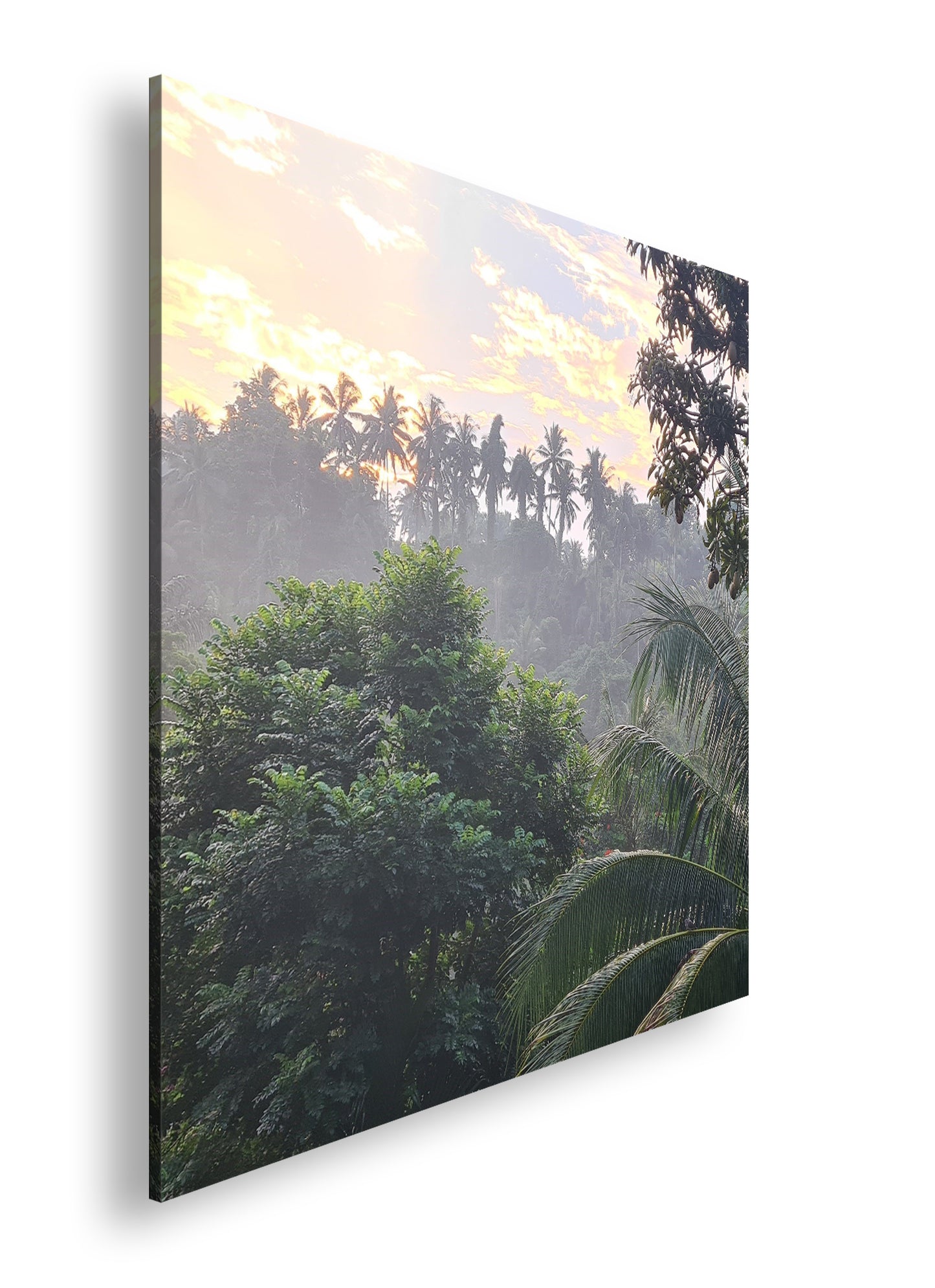 Hauptbild Farbig Quadratisch