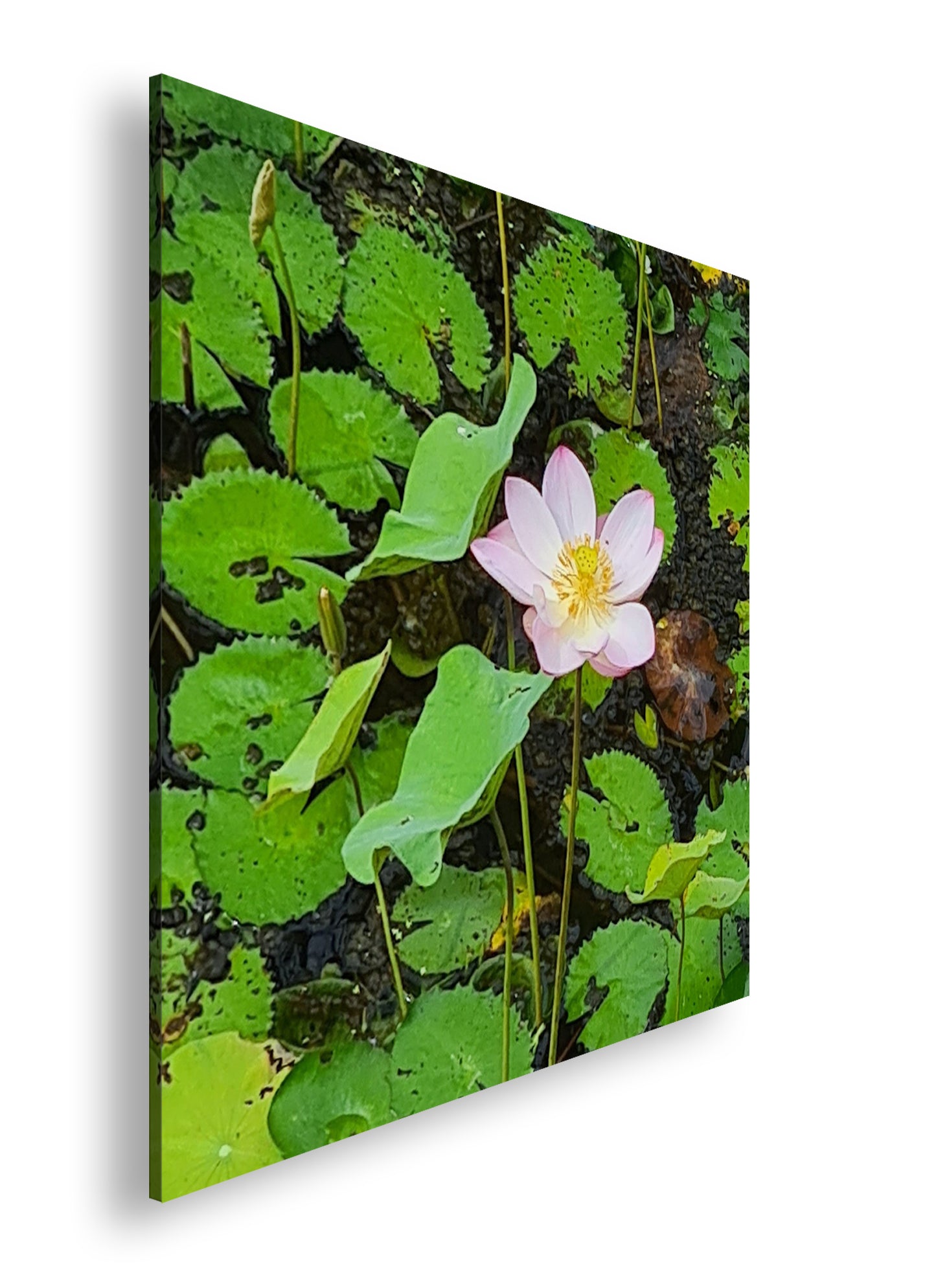 Hauptbild Farbig Quadratisch