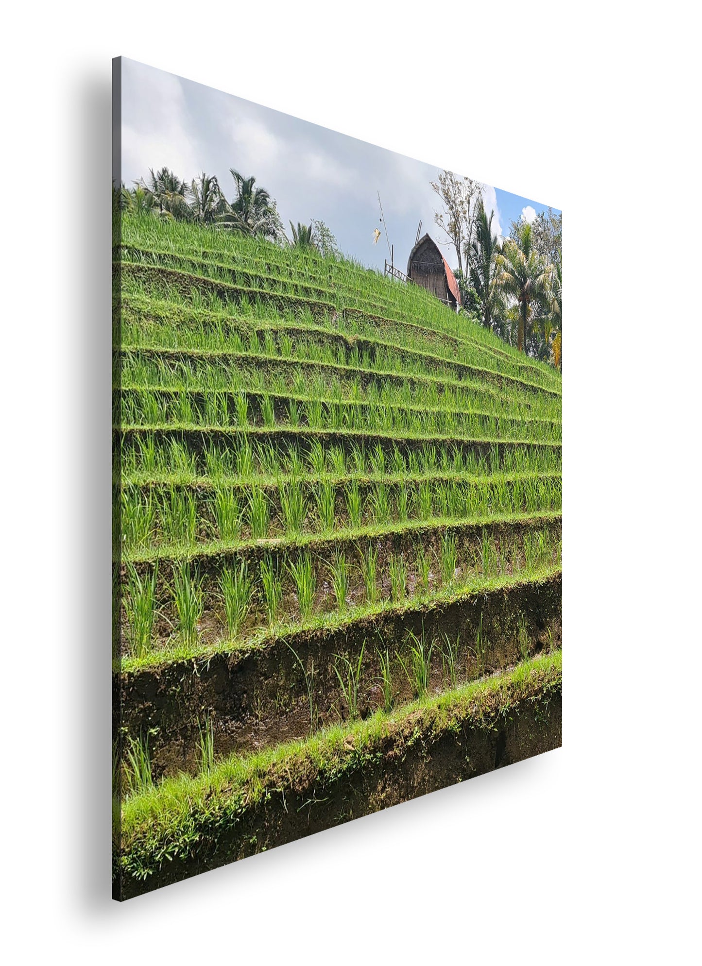 Hauptbild Farbig Quadratisch