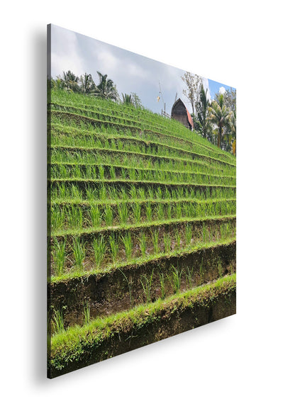 Hauptbild Farbig Quadratisch