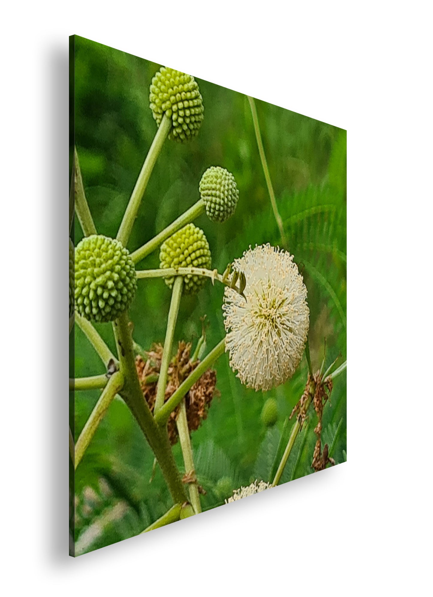 Hauptbild Farbig Quadratisch