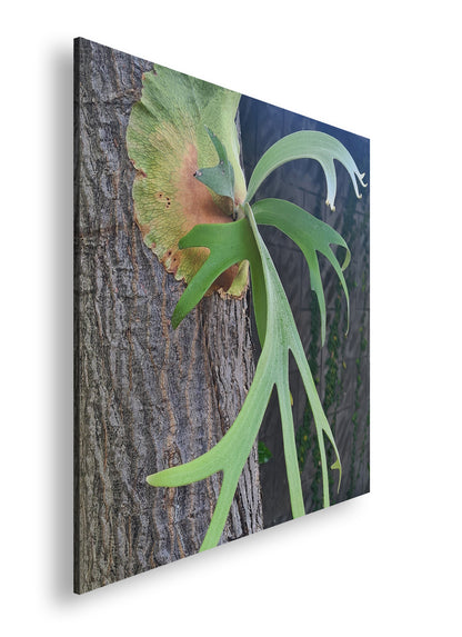 Hauptbild Farbig Quadratisch