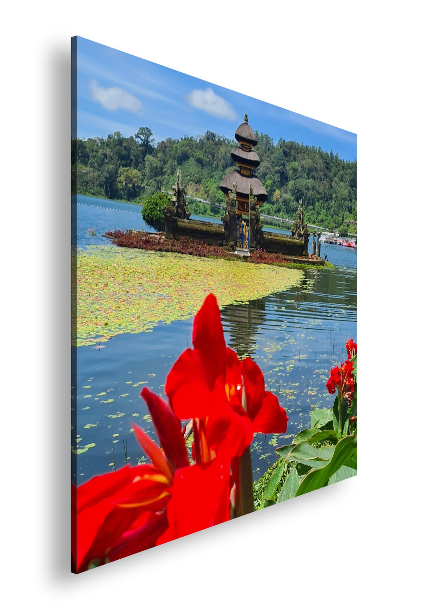 Hauptbild Farbig Quadratisch