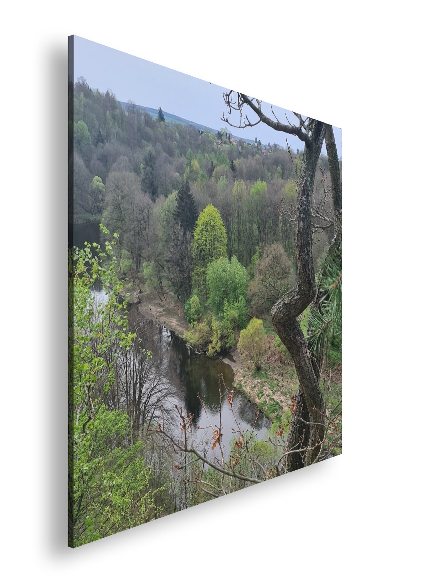 Hauptbild Farbig Quadratisch