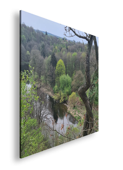 Hauptbild Farbig Quadratisch