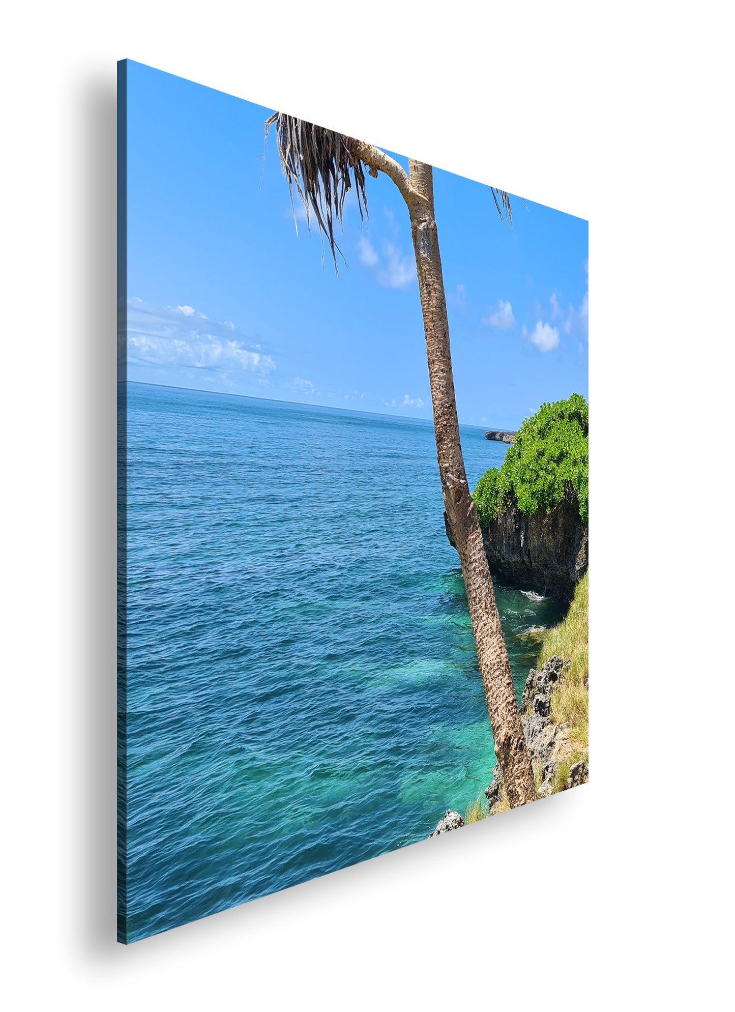 Hauptbild Farbig Quadratisch