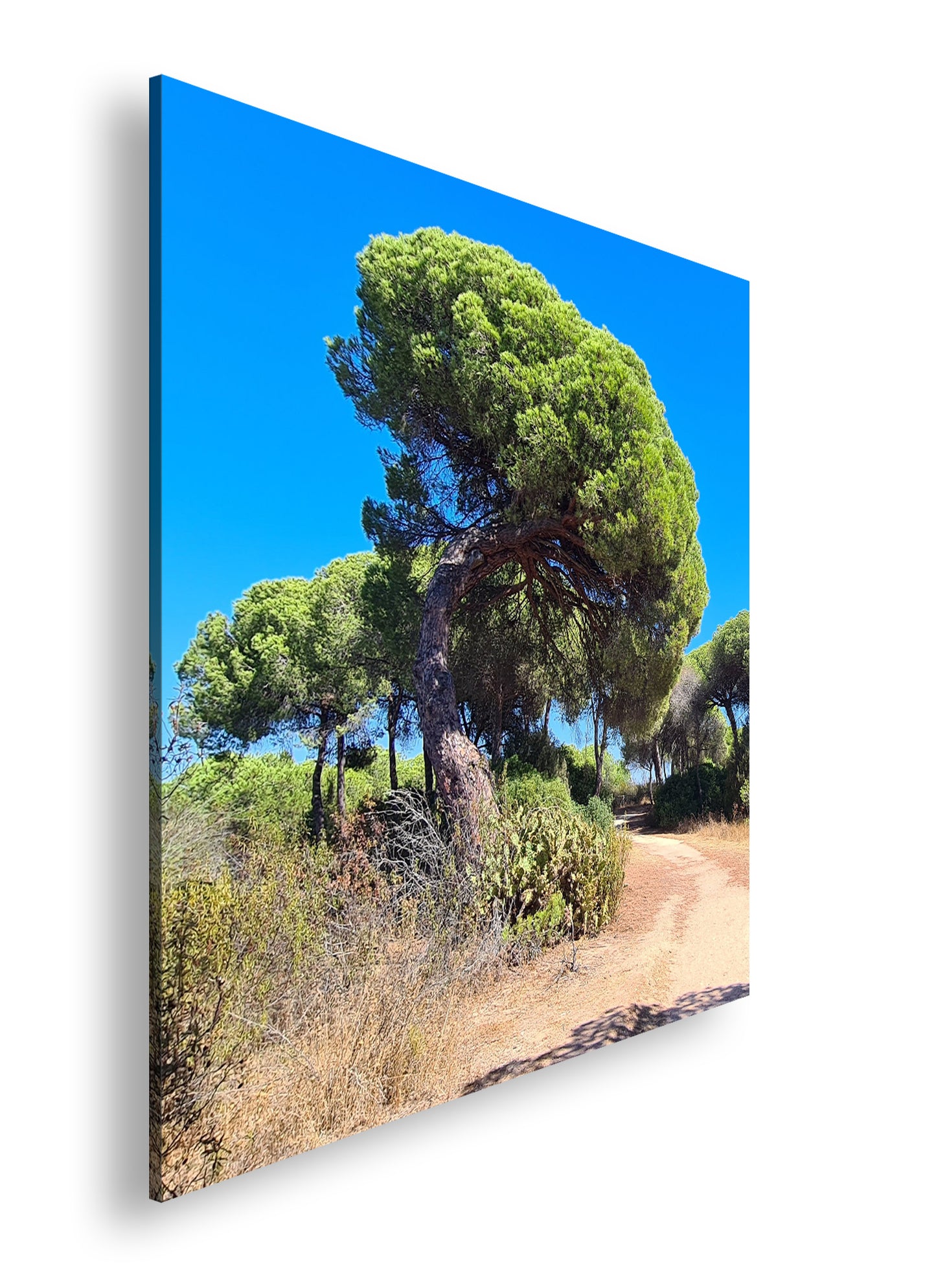 Hauptbild Farbig Quadratisch