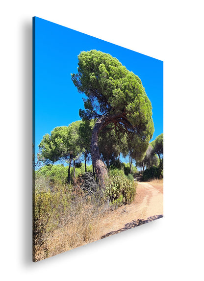 Hauptbild Farbig Quadratisch