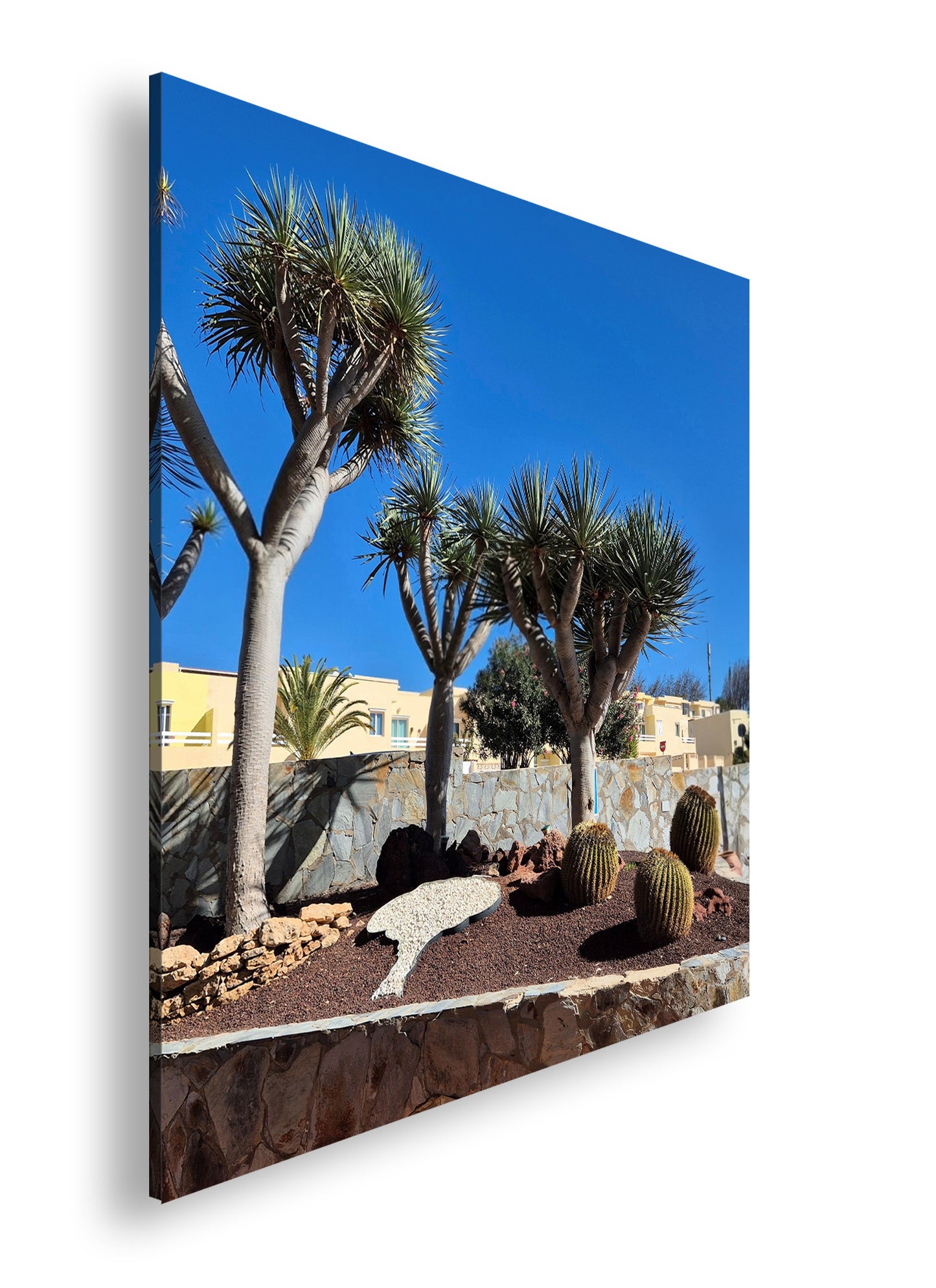 Hauptbild Farbig Quadratisch