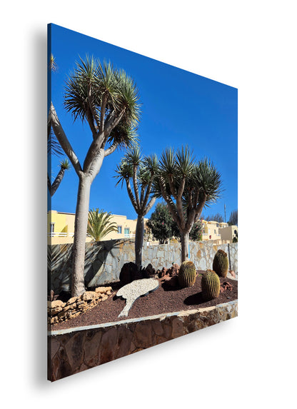 Hauptbild Farbig Quadratisch