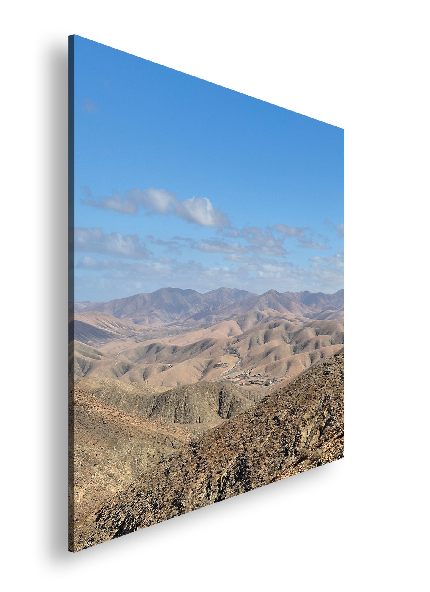 Hauptbild Farbig Quadratisch