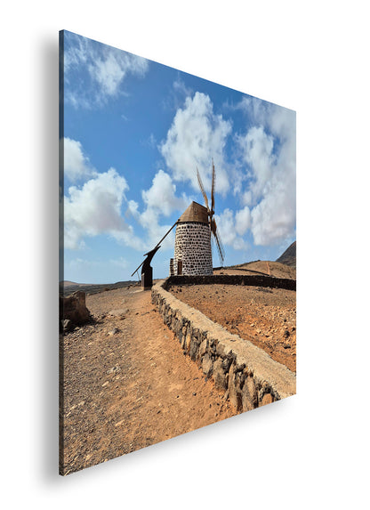 Hauptbild Farbig Quadratisch