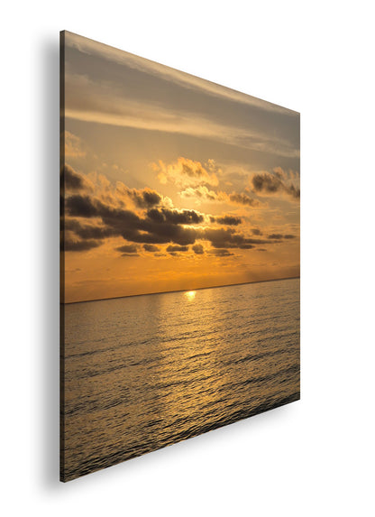 Hauptbild Farbig Quadratisch