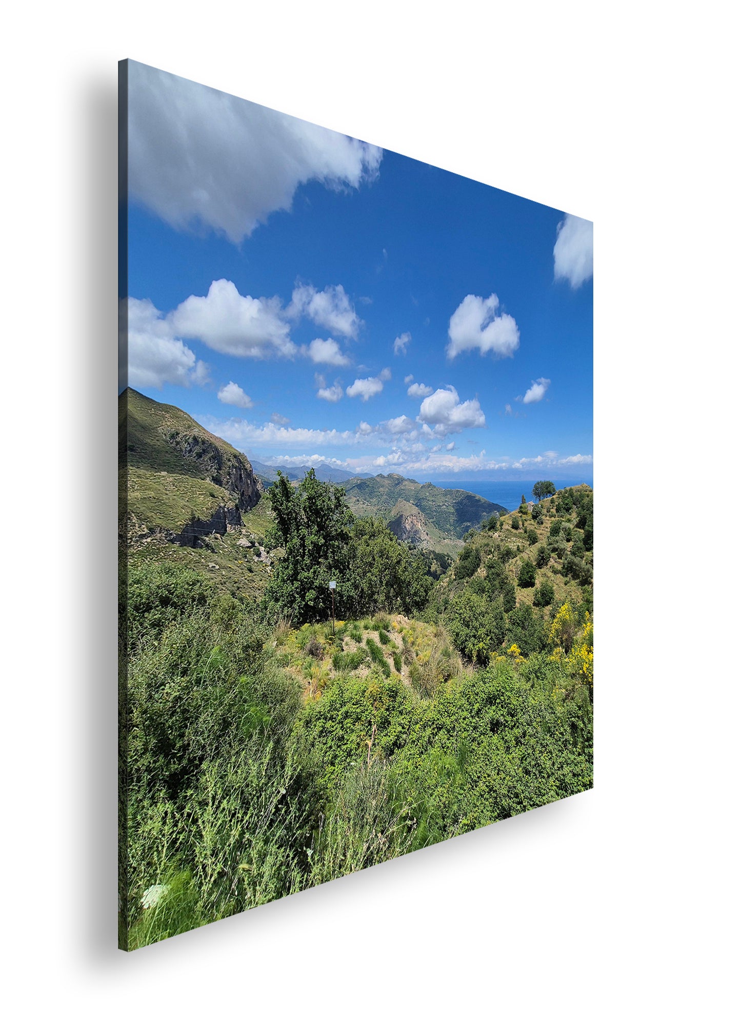 Hauptbild Farbig Quadratisch