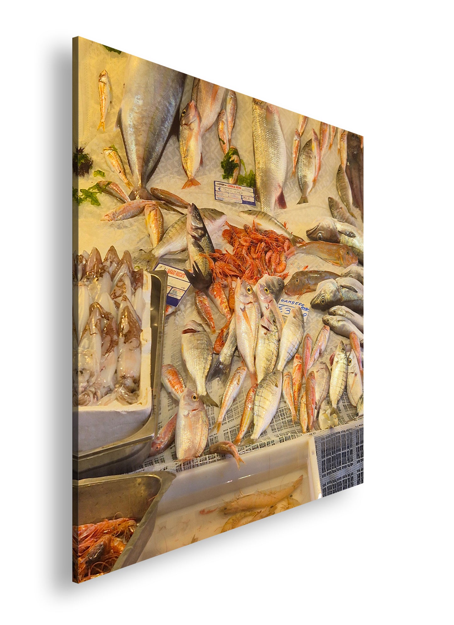 Hauptbild Farbig Quadratisch