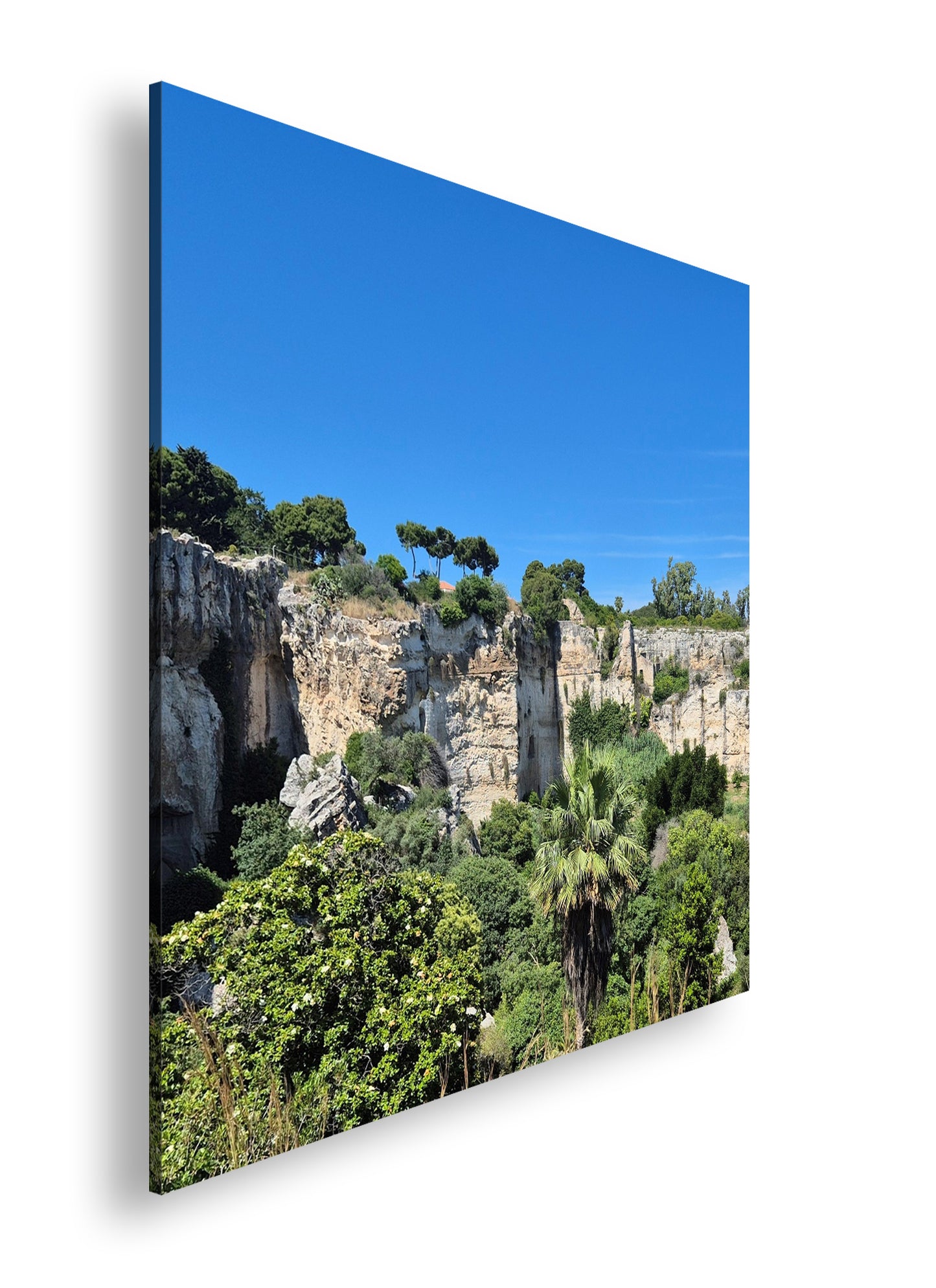 Hauptbild Farbig Quadratisch