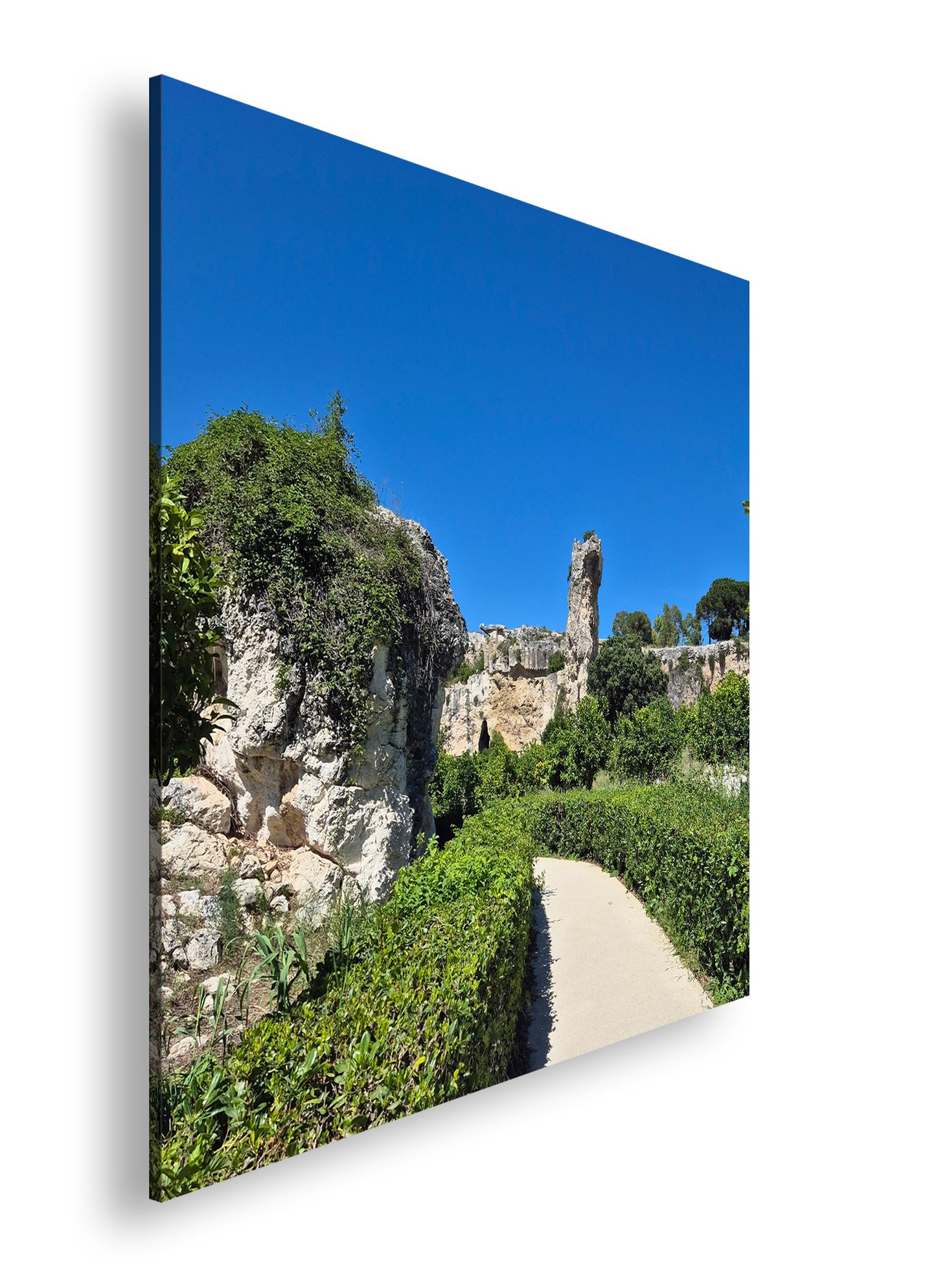 Hauptbild Farbig Quadratisch