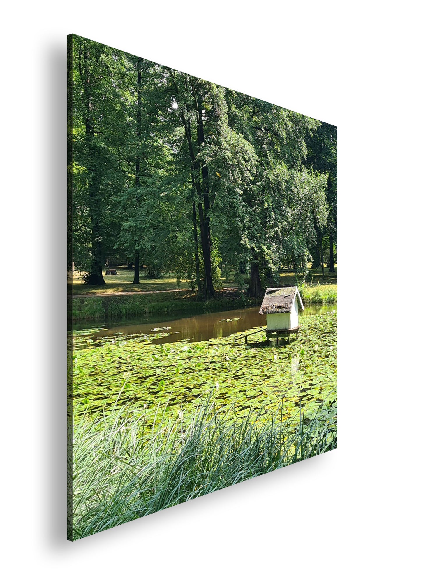 Hauptbild Farbig Quadratisch