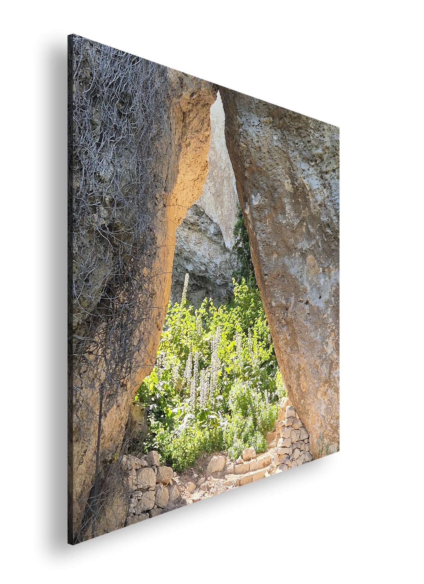 Hauptbild Farbig Quadratisch